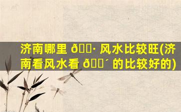 济南哪里 🌷 风水比较旺(济南看风水看 🌴 的比较好的)